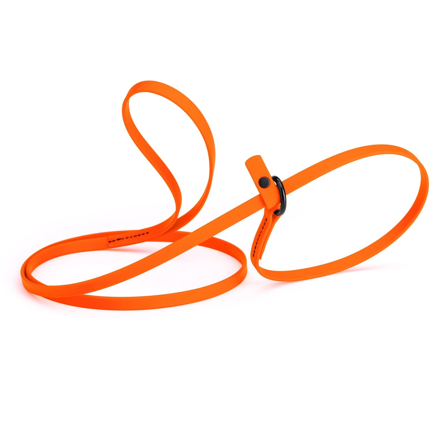 Biothane Slip Lead for Dogs, 5 ft and 7 ft