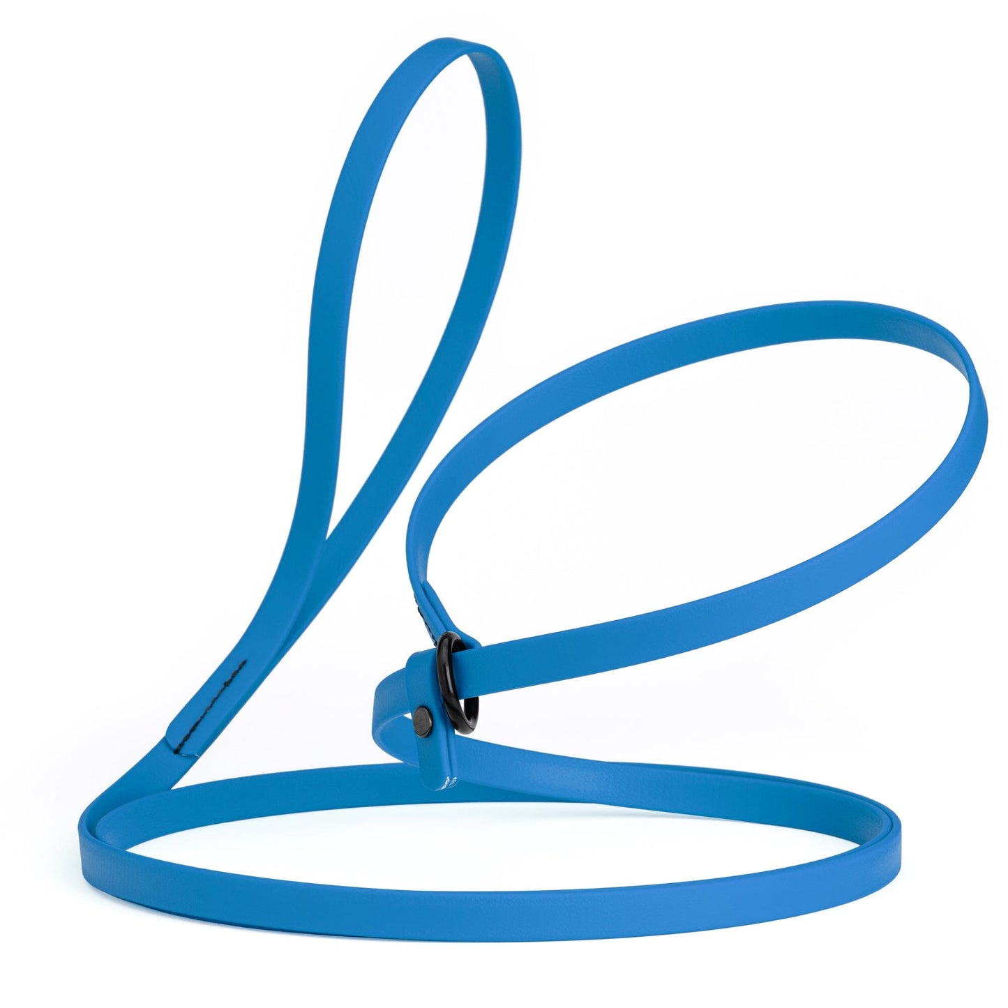Biothane Slip Lead for Dogs, 5 ft and 7 ft