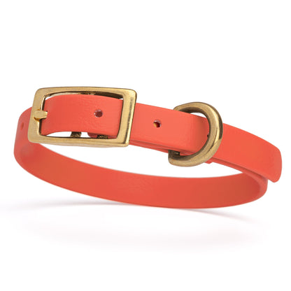 Waterproof Dog Collar with Brass Hardware