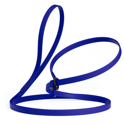 Biothane Slip Lead for Dogs, 5 ft and 7 ft