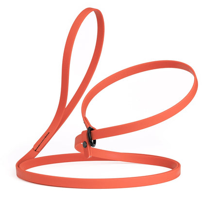 Biothane Slip Lead for Dogs, 5 ft and 7 ft