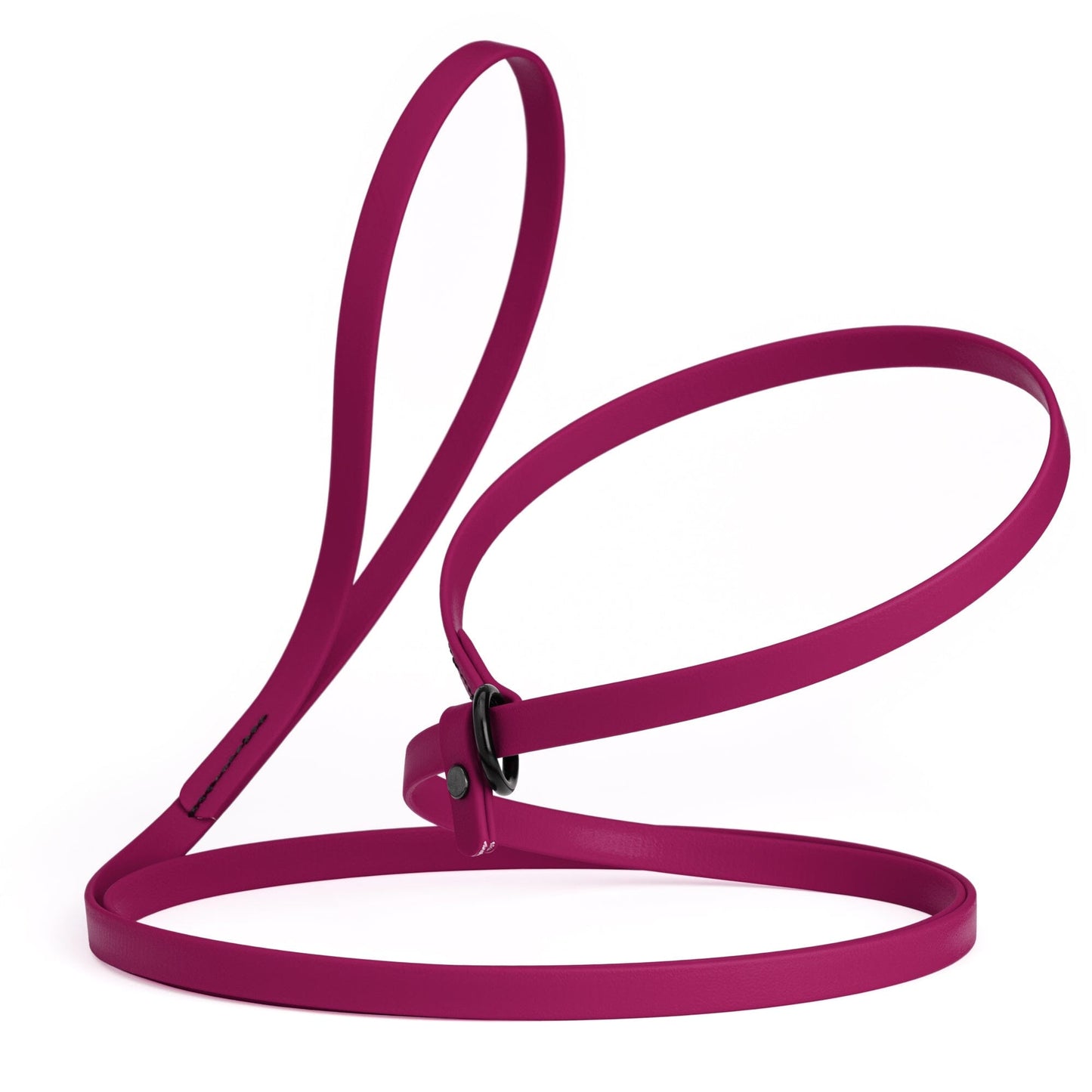 Biothane Slip Lead for Dogs, 5 ft and 7 ft