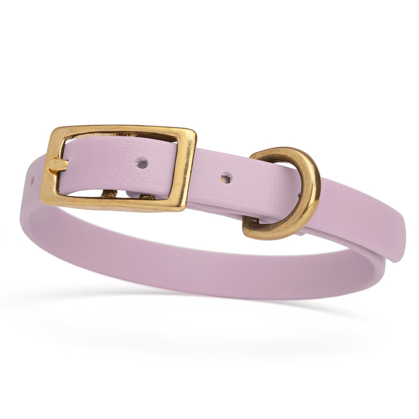 Waterproof Dog Collar with Brass Hardware
