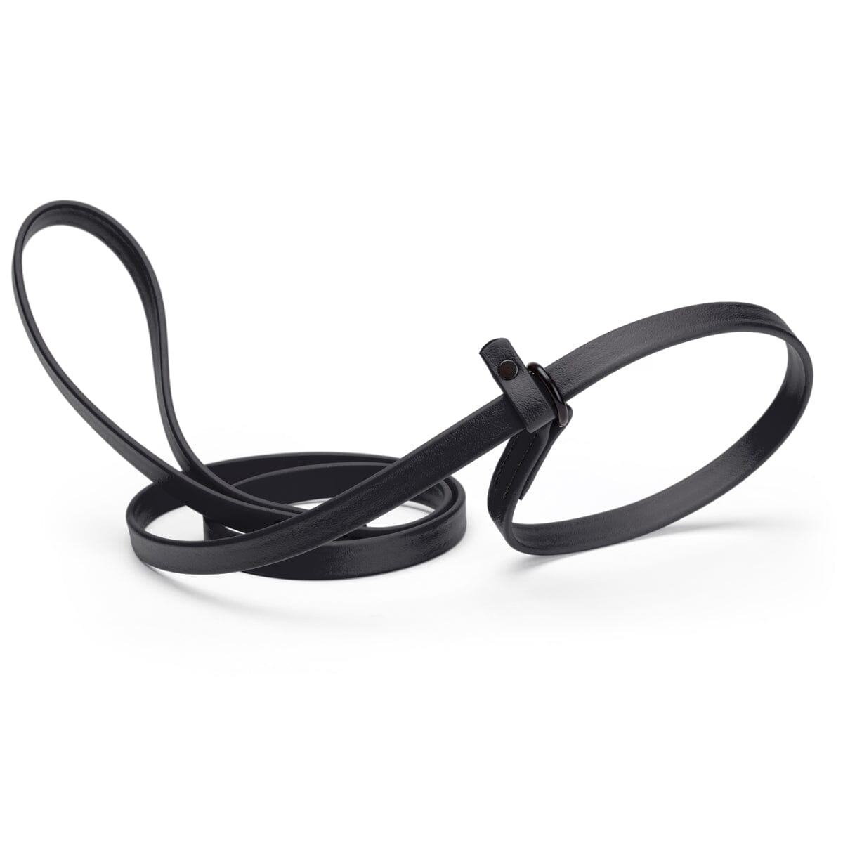 Biothane Slip Lead for Dogs, 5 ft and 7 ft
