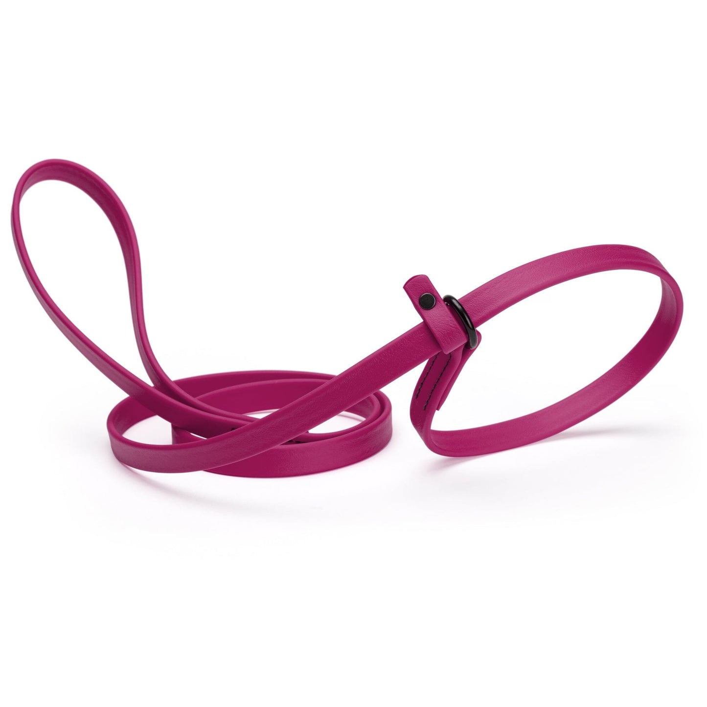Biothane Slip Lead for Dogs, 5 ft and 7 ft