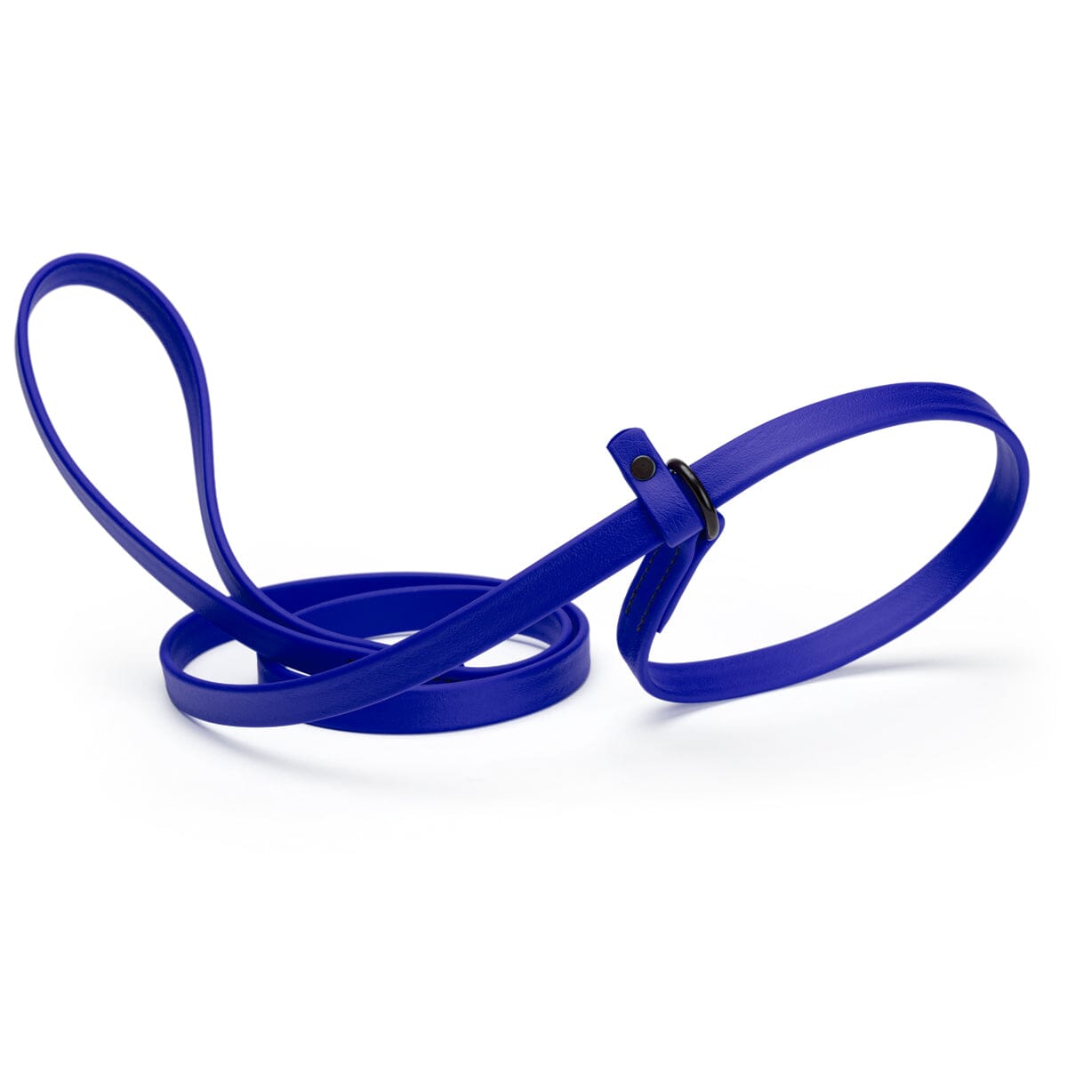 Biothane Slip Lead for Dogs, 5 ft and 7 ft