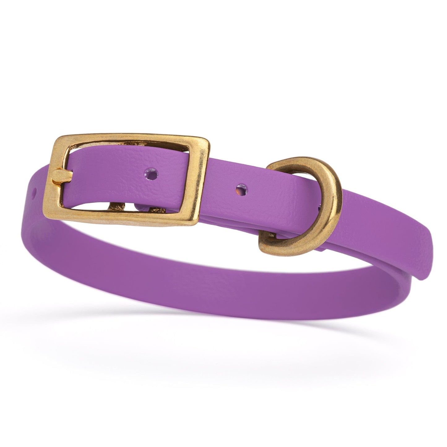 Waterproof Dog Collar with Brass Hardware