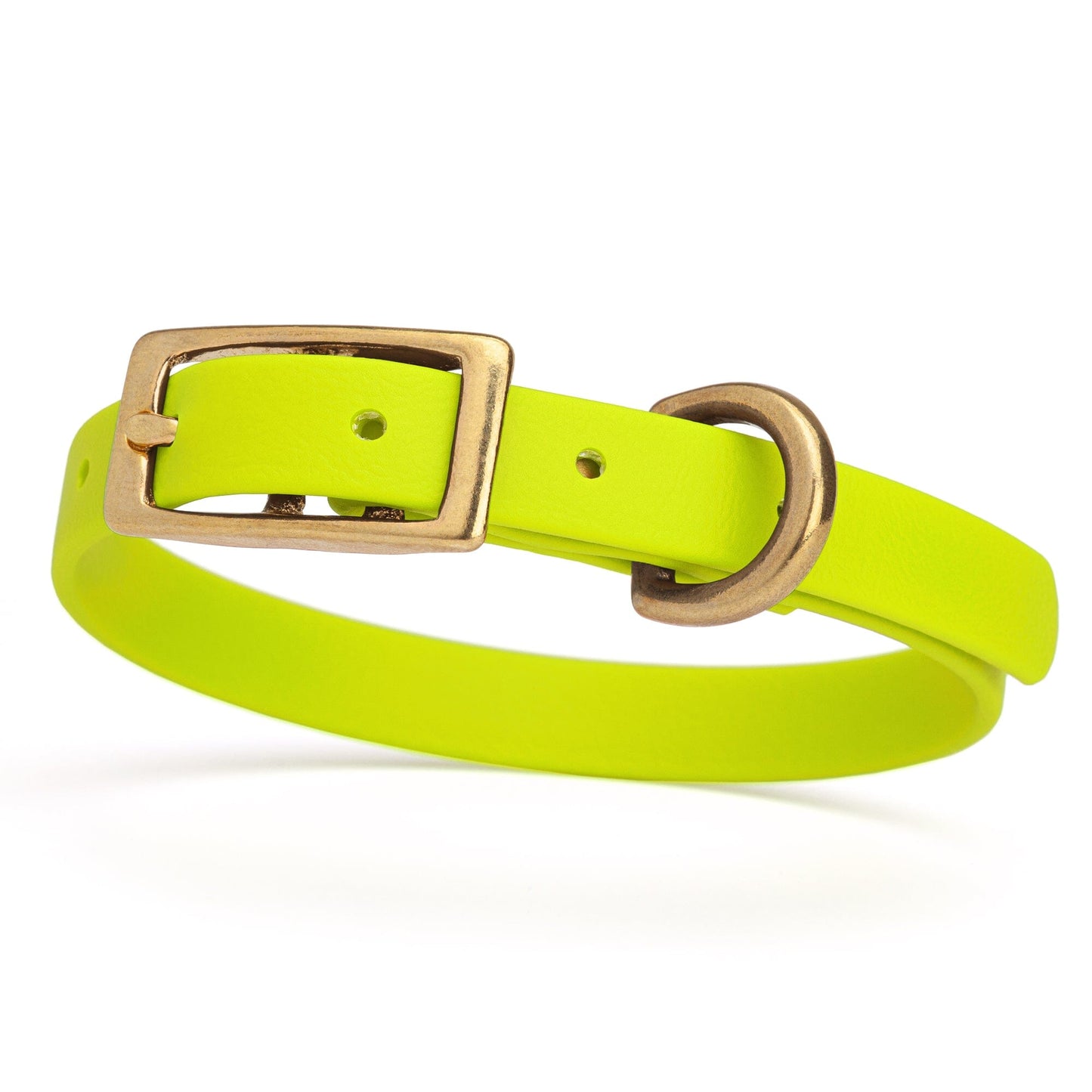 Waterproof Dog Collar with Brass Hardware