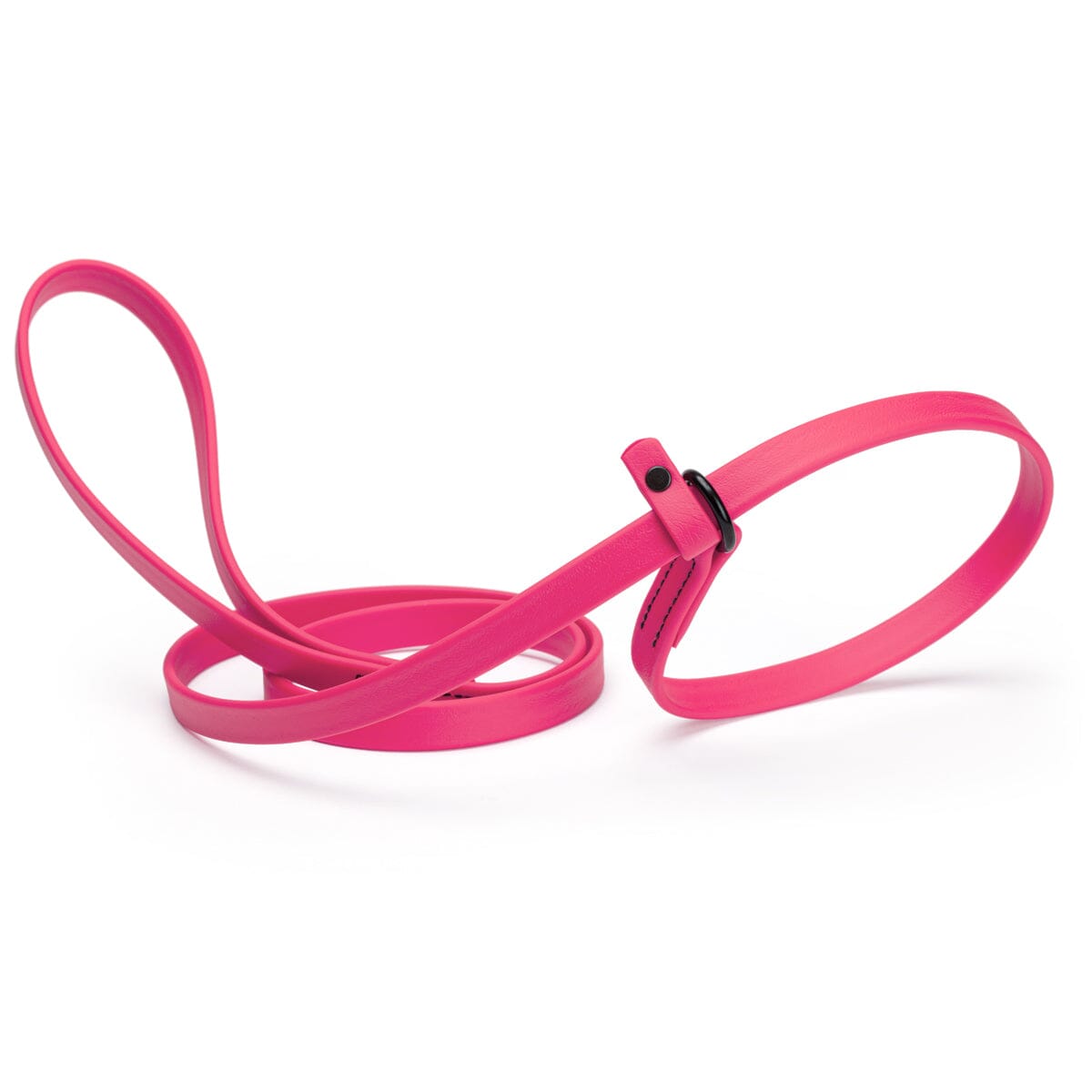 Biothane Slip Lead for Dogs, 5 ft and 7 ft