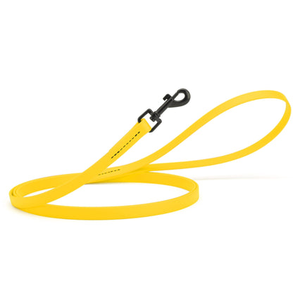 Biothane Waterproof Dog Leash, 4 ft
