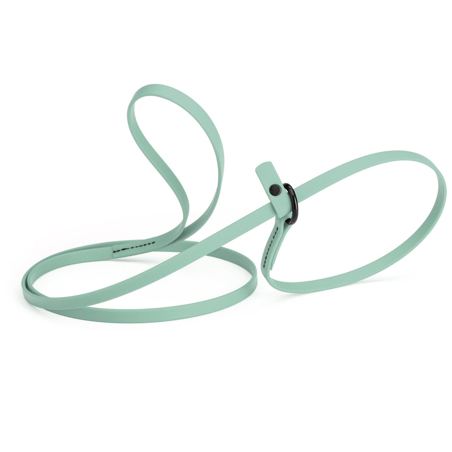 Biothane Slip Lead for Dogs, 5 ft and 7 ft