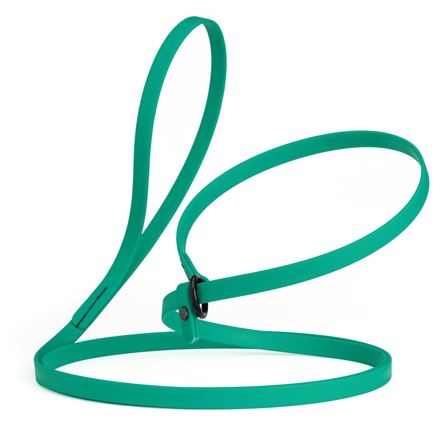 Biothane Slip Lead for Dogs, 5 ft and 7 ft