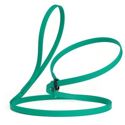 Biothane Slip Lead for Dogs, 5 ft and 7 ft