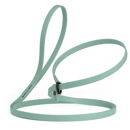 Biothane Slip Lead for Dogs, 5 ft and 7 ft