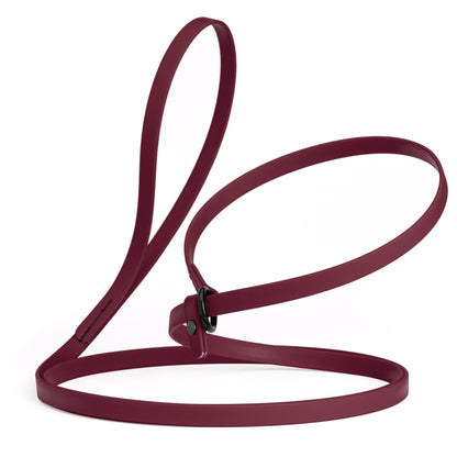 Biothane Slip Lead for Dogs, 5 ft and 7 ft