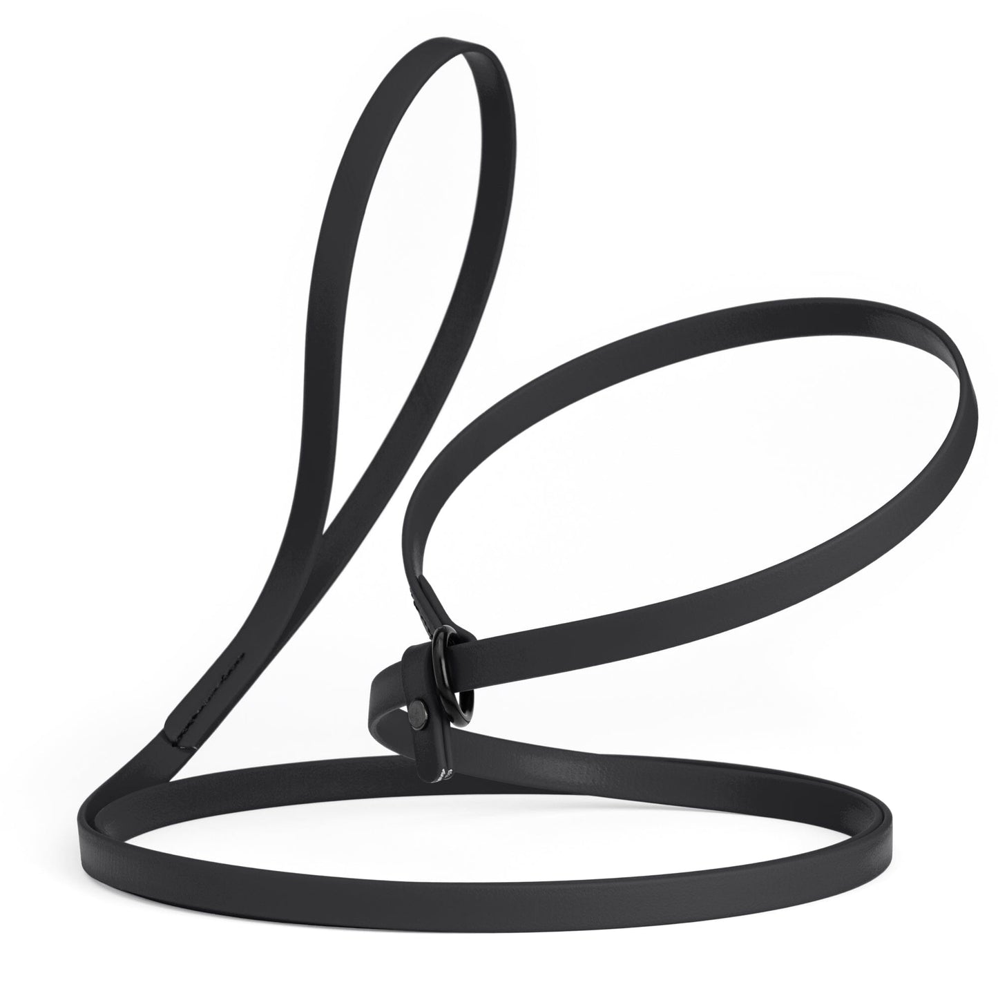 Biothane Slip Lead for Dogs, 5 ft and 7 ft