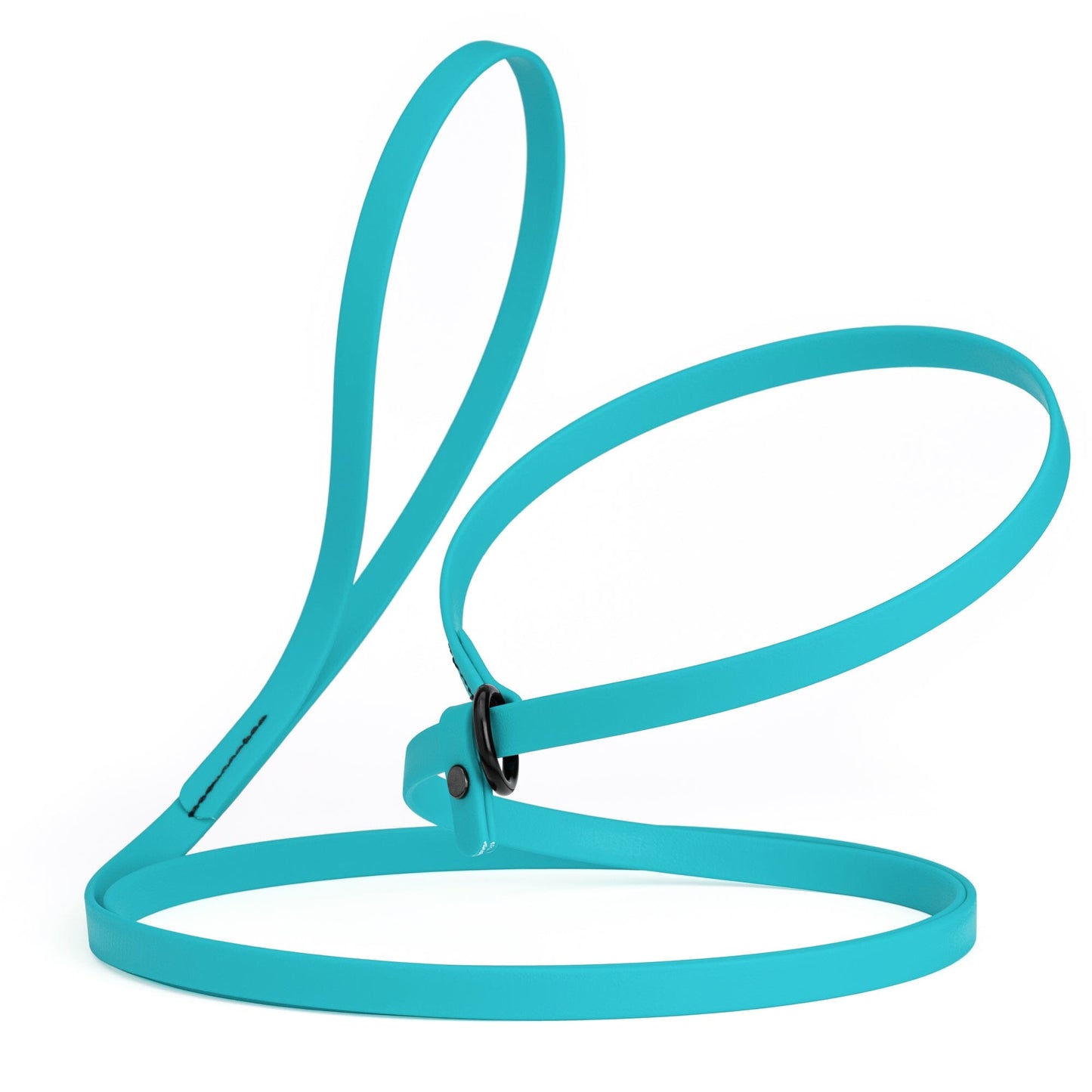 Biothane Slip Lead for Dogs, 5 ft and 7 ft