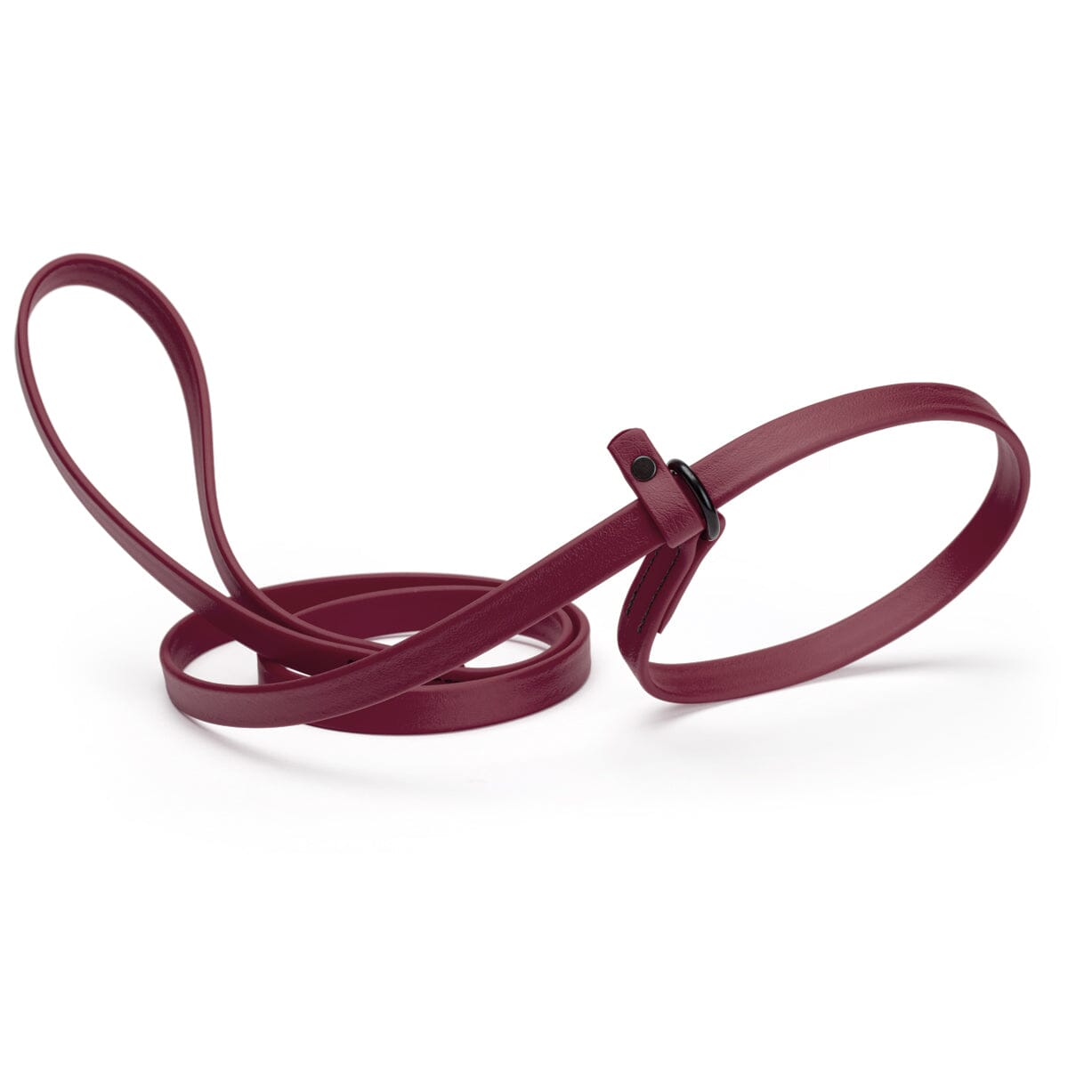 Biothane Slip Lead for Dogs, 5 ft and 7 ft