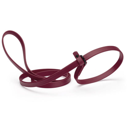 Biothane Slip Lead for Dogs, 5 ft and 7 ft