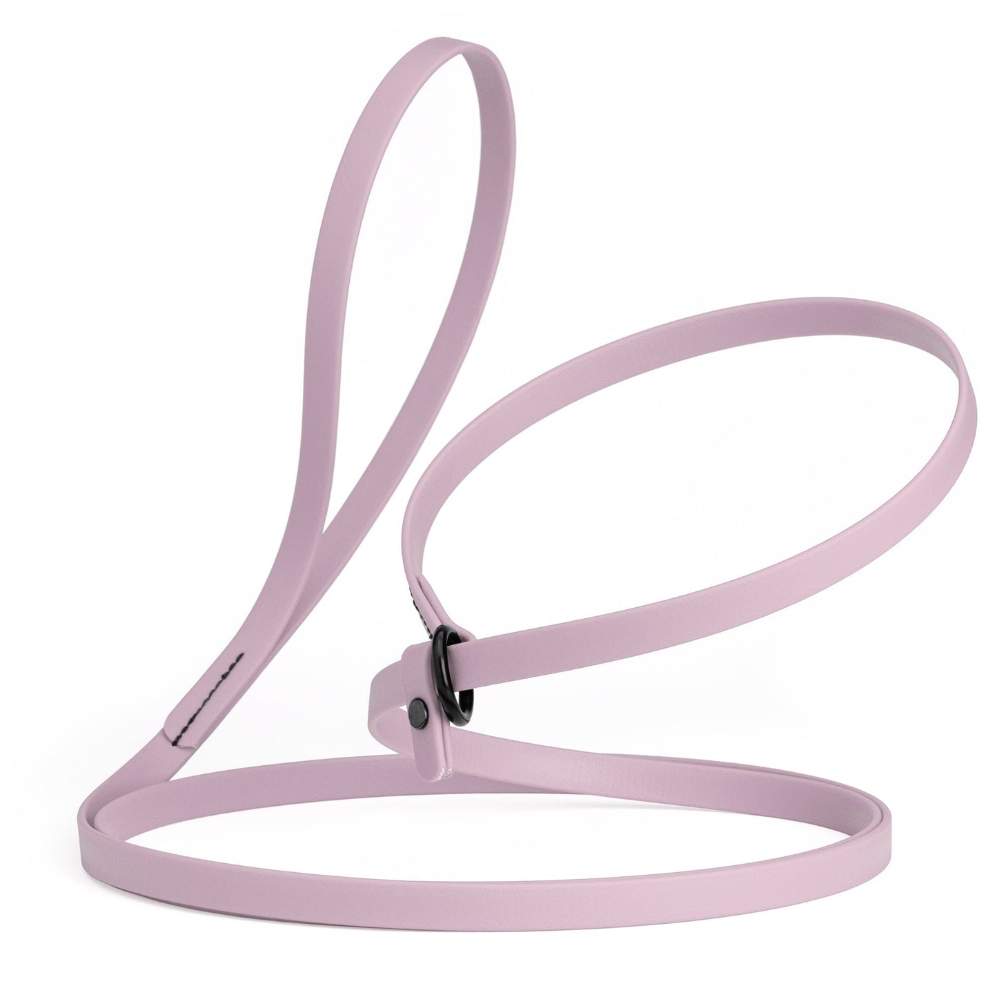 Biothane Slip Lead for Dogs, 5 ft and 7 ft