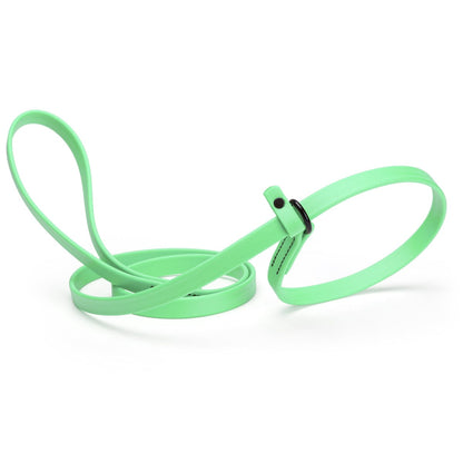 Biothane Slip Lead for Dogs, 5 ft and 7 ft