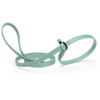 Biothane Slip Lead for Dogs, 5 ft and 7 ft