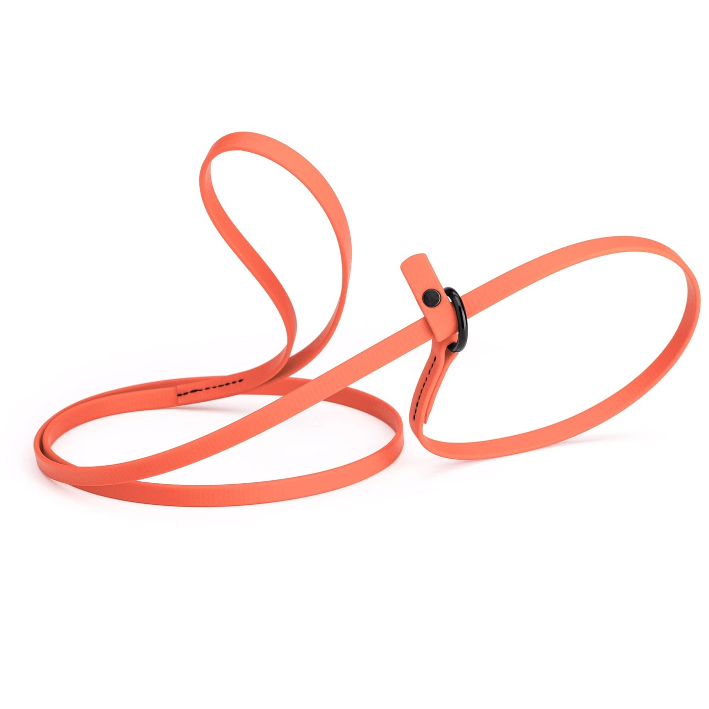 Biothane Slip Lead for Dogs, 5 ft and 7 ft
