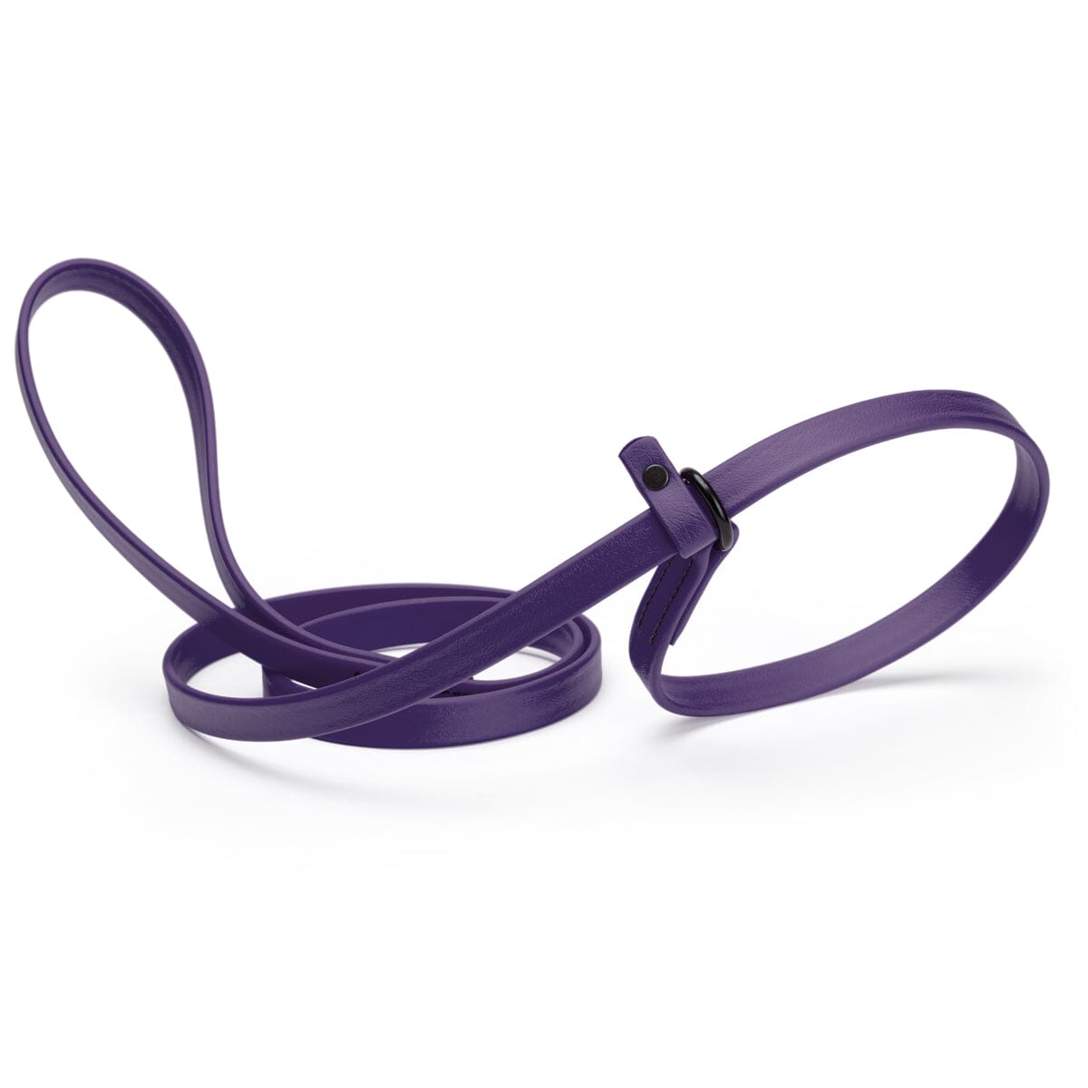Biothane Slip Lead for Dogs, 5 ft and 7 ft