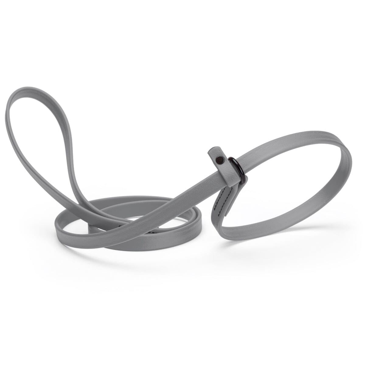 Biothane Slip Lead for Dogs, 5 ft and 7 ft
