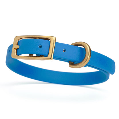 Waterproof Dog Collar with Brass Hardware
