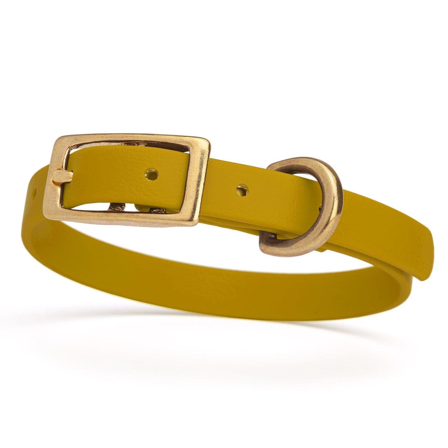 Waterproof Dog Collar with Brass Hardware