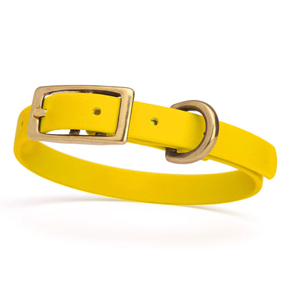 Waterproof Dog Collar with Brass Hardware