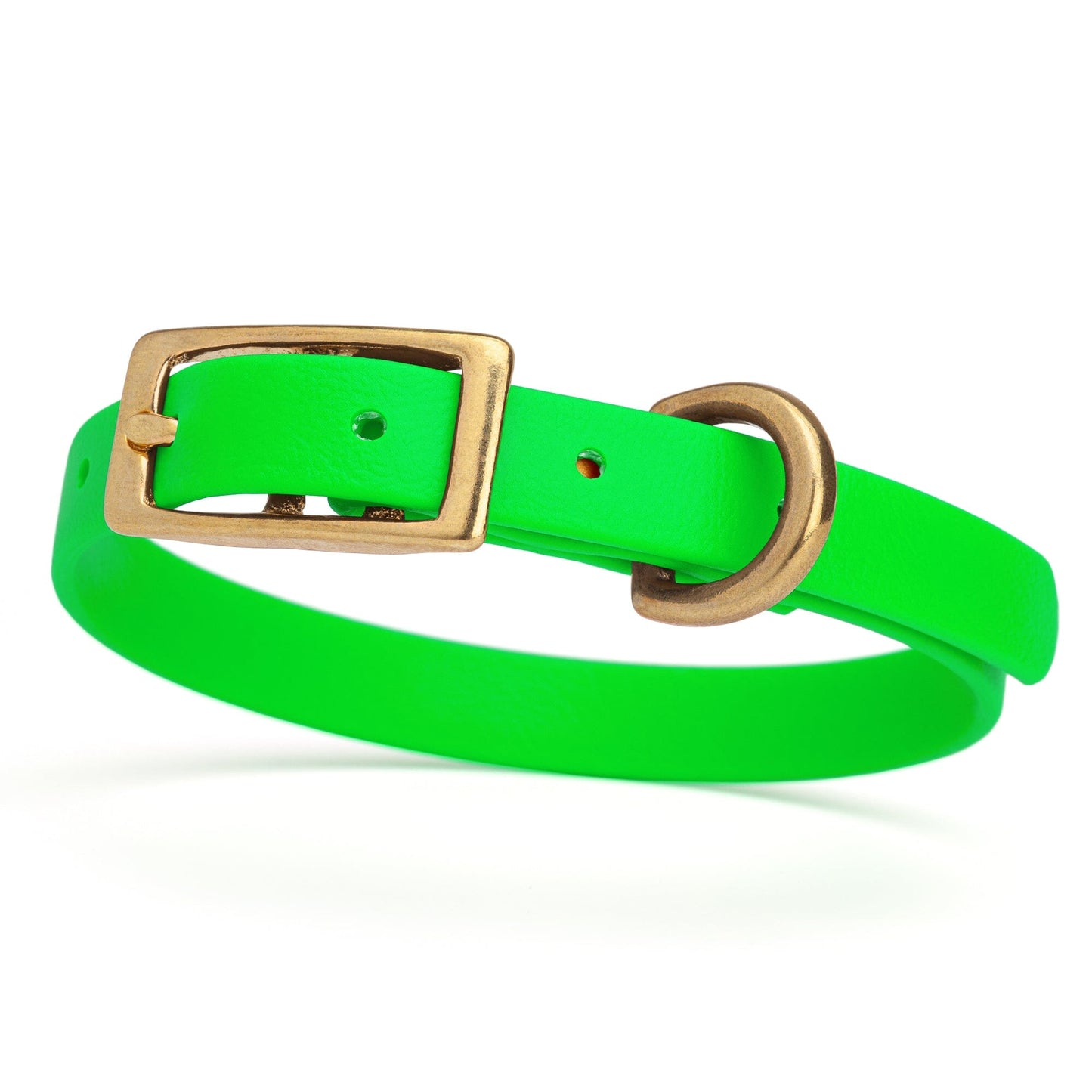 Waterproof Dog Collar with Brass Hardware