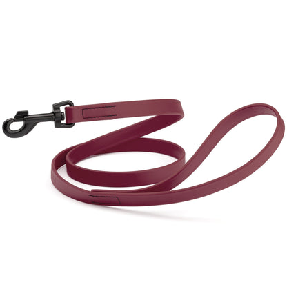 Biothane Waterproof Dog Leash, 4 ft