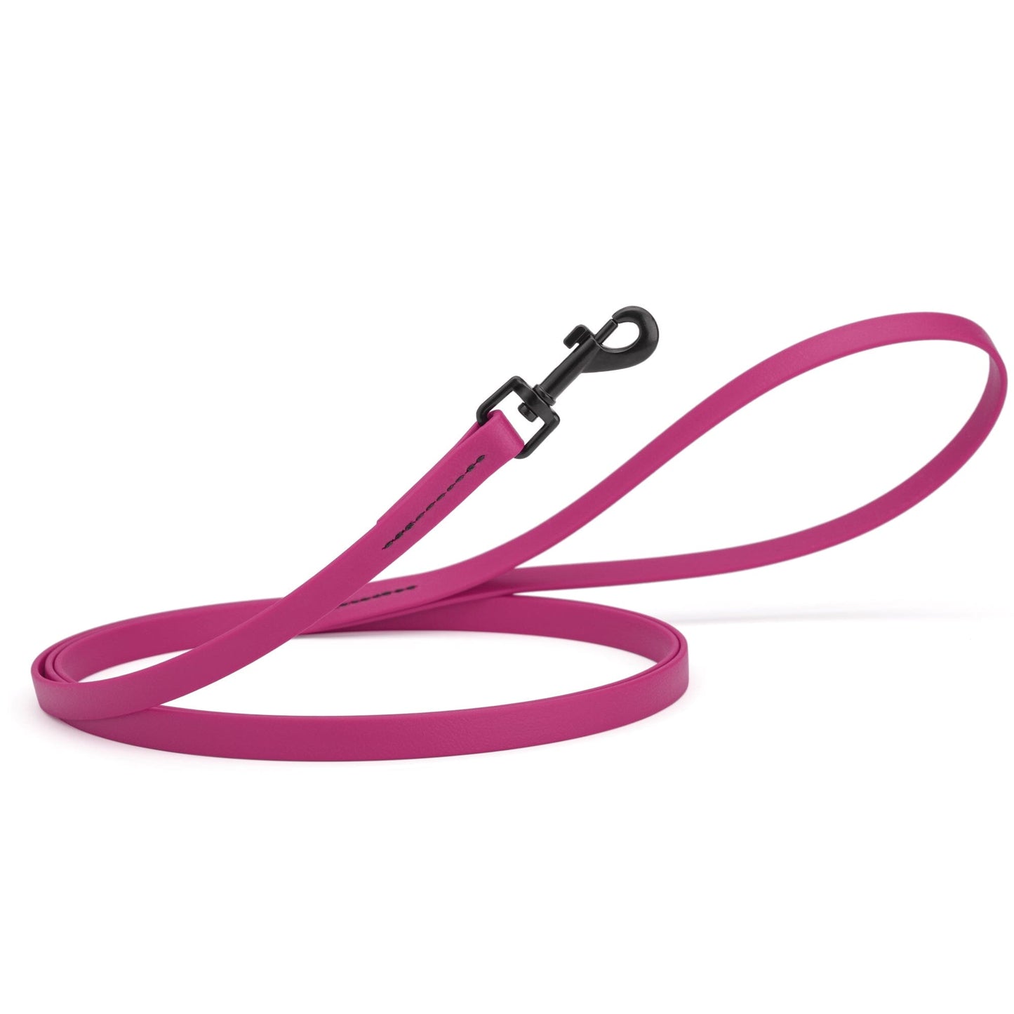 Biothane Waterproof Dog Leash, 4 ft