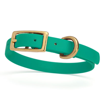 Waterproof Dog Collar with Brass Hardware