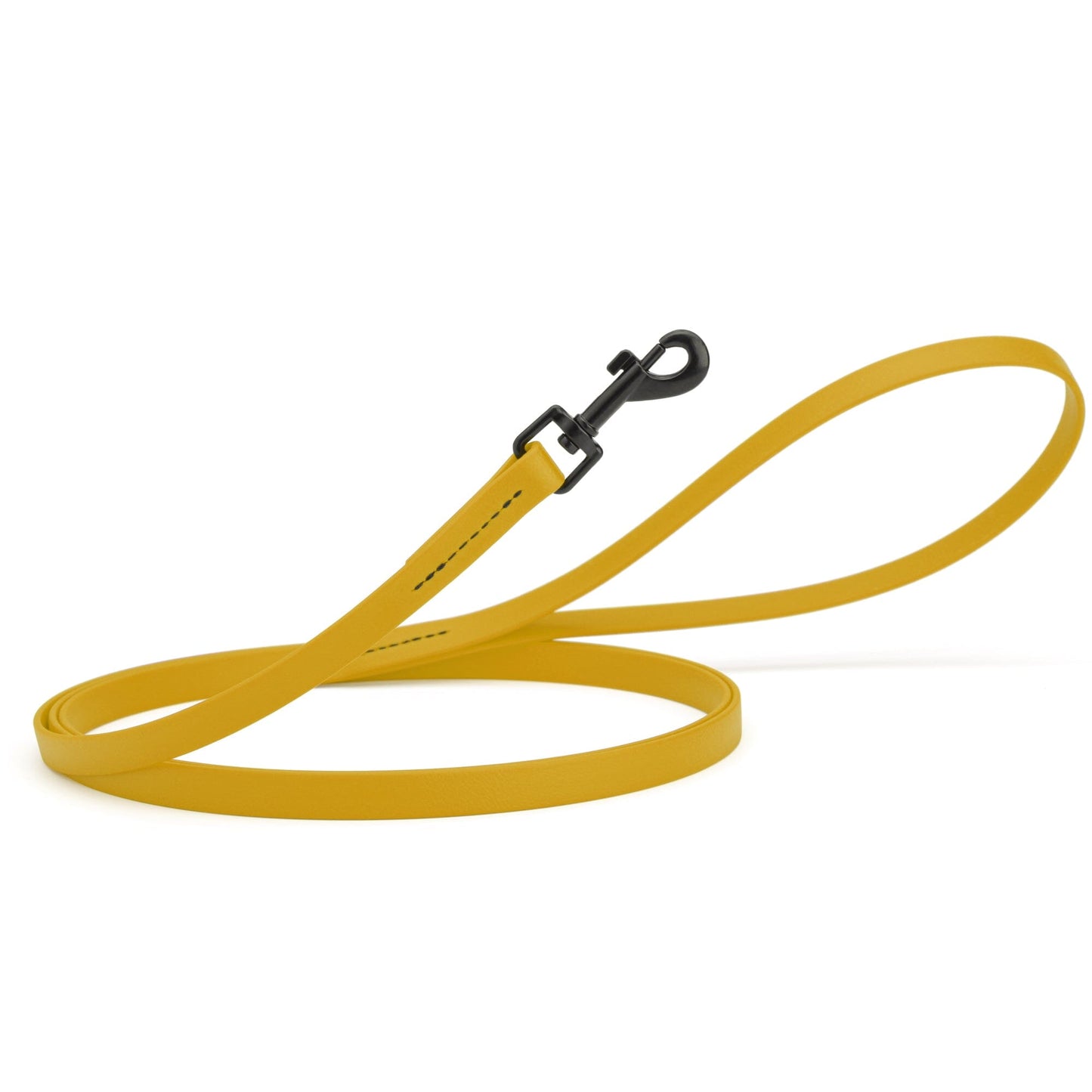Biothane Waterproof Dog Leash, 4 ft