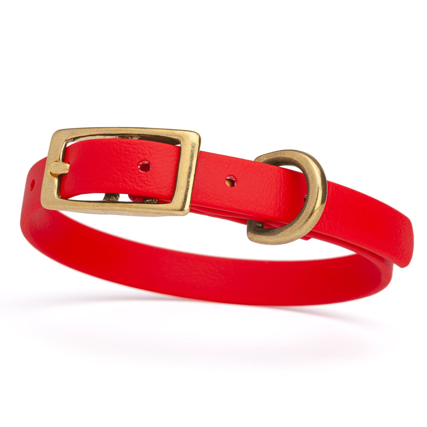 Waterproof Dog Collar with Brass Hardware