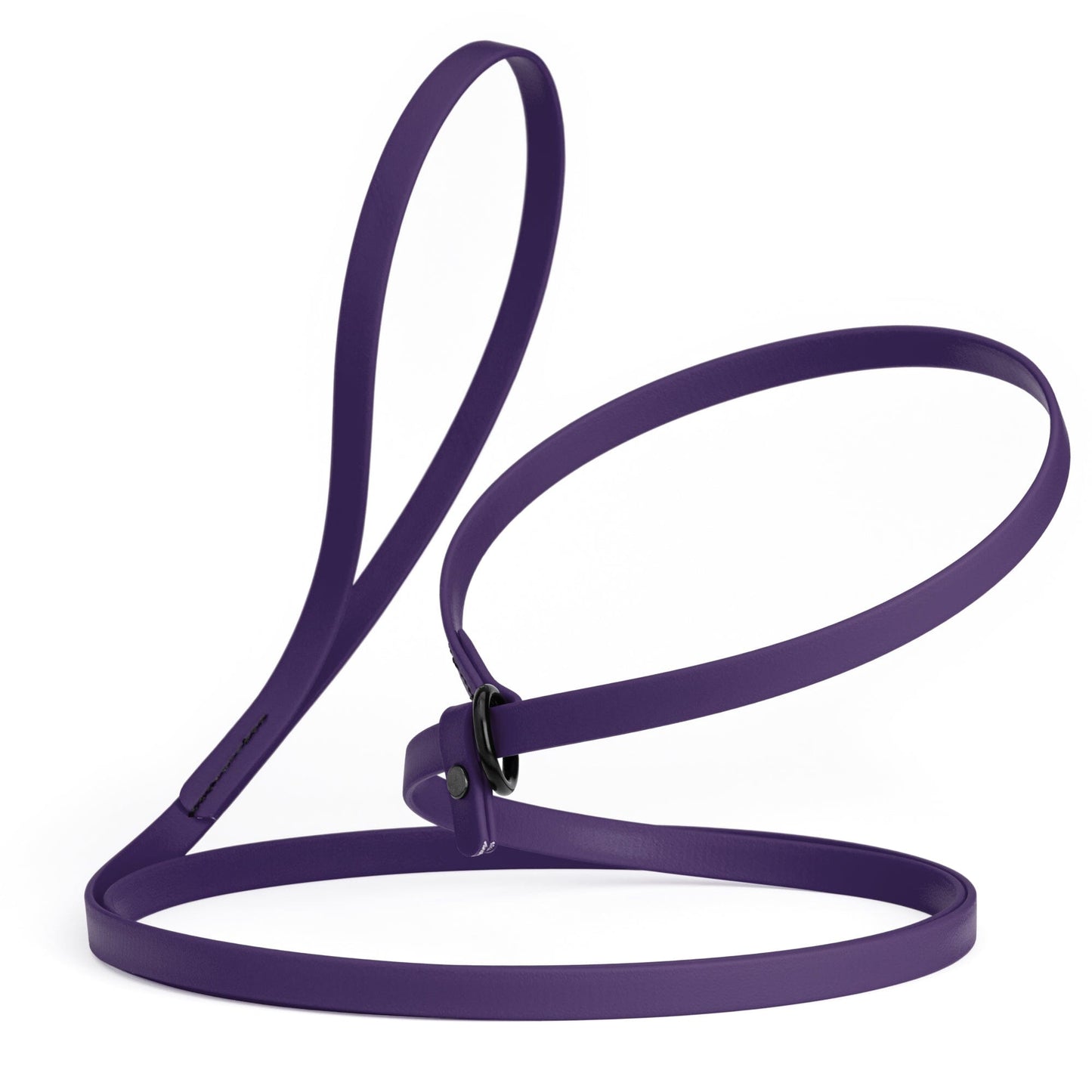 Biothane Slip Lead for Dogs, 5 ft and 7 ft