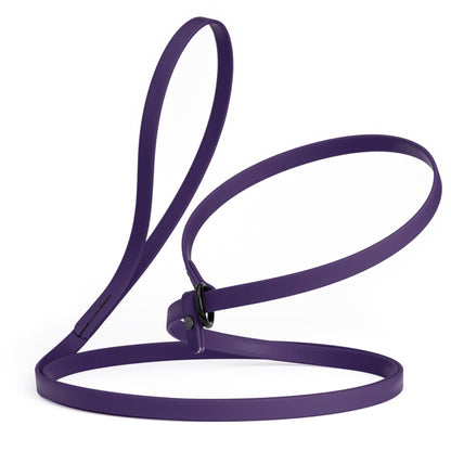 Biothane Slip Lead for Dogs, 5 ft and 7 ft