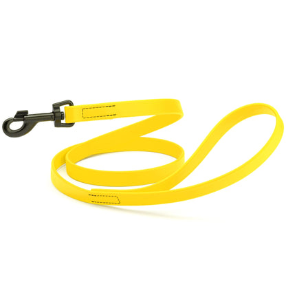 Biothane Waterproof Dog Leash, 4 ft