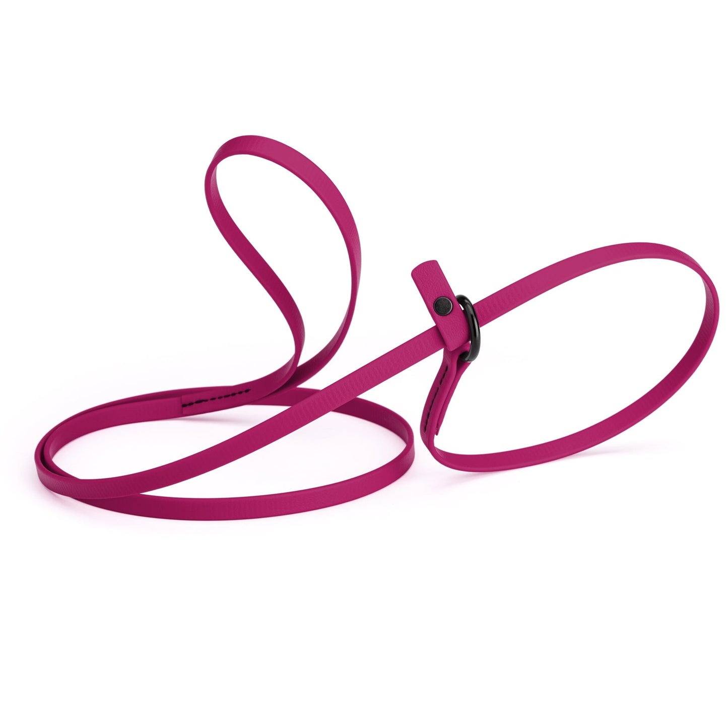 Biothane Slip Lead for Dogs, 5 ft and 7 ft