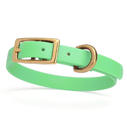 Waterproof Dog Collar with Brass Hardware