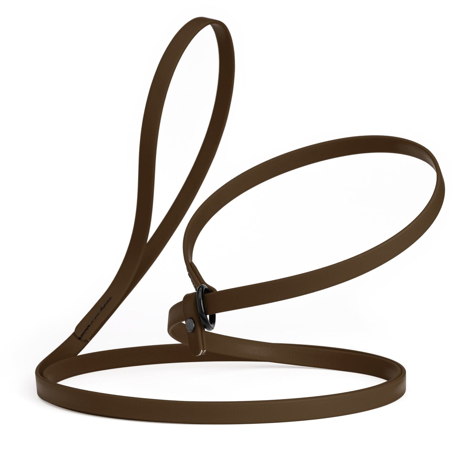 Biothane Slip Lead for Dogs, 5 ft and 7 ft