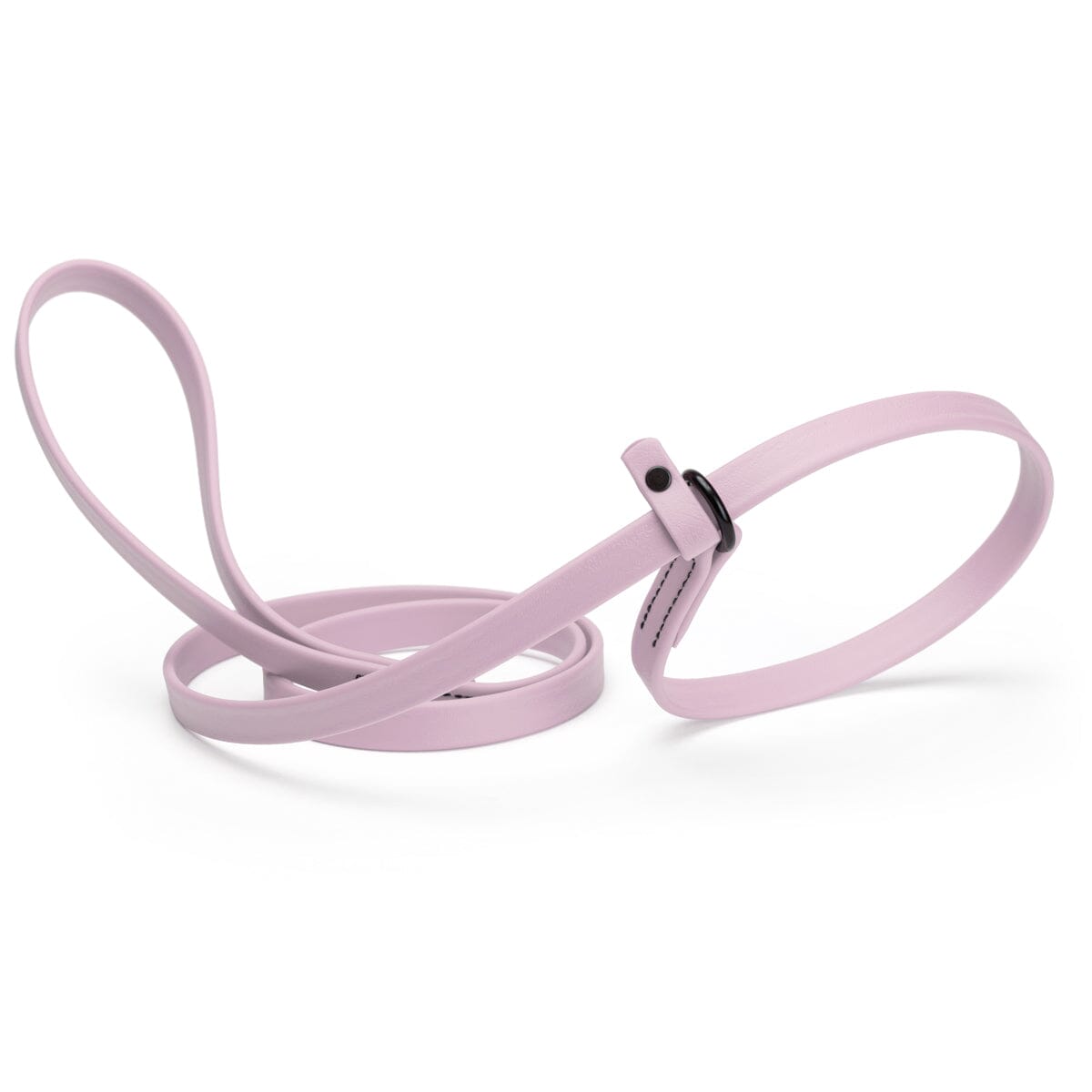Biothane Slip Lead for Dogs, 5 ft and 7 ft