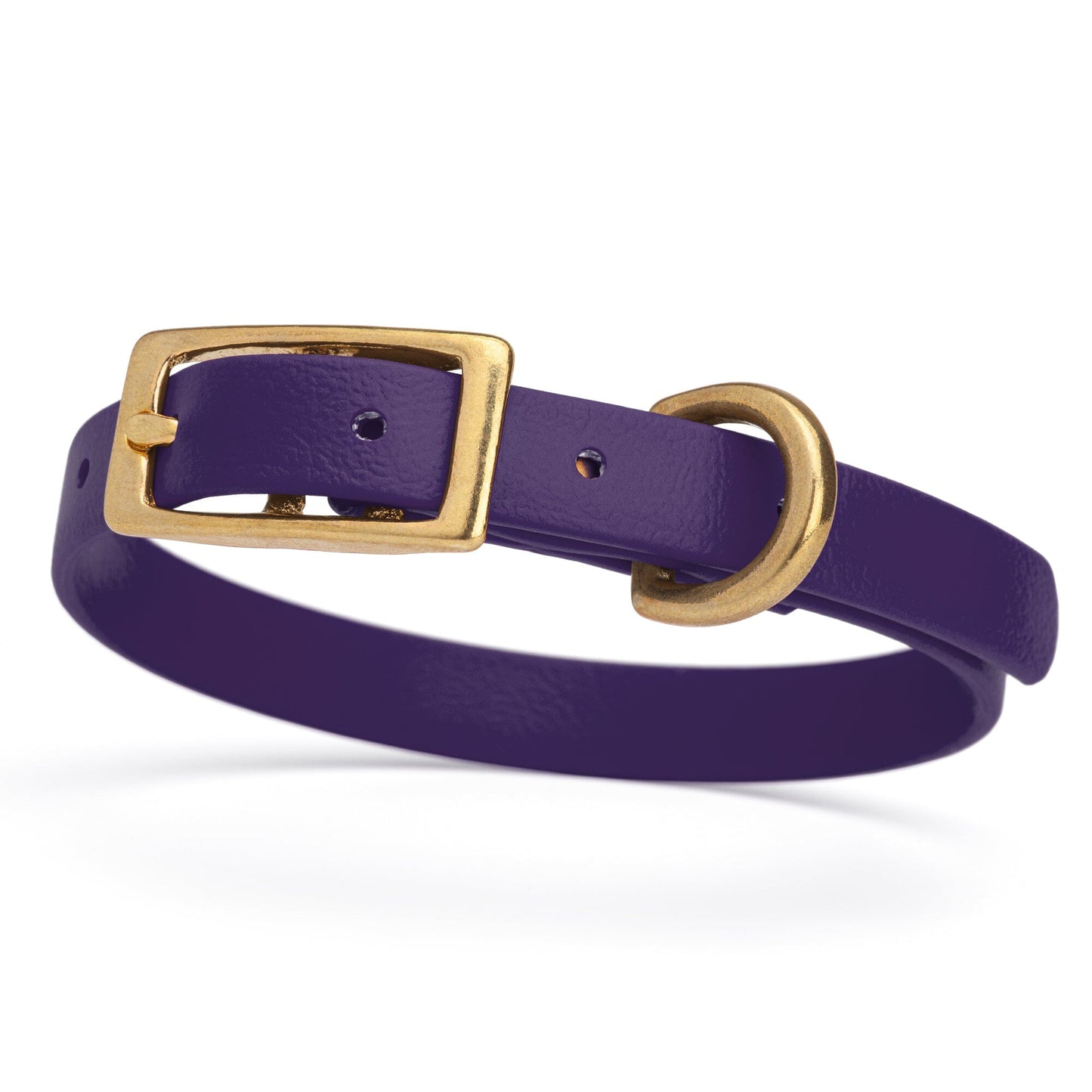 Waterproof Dog Collar with Brass Hardware