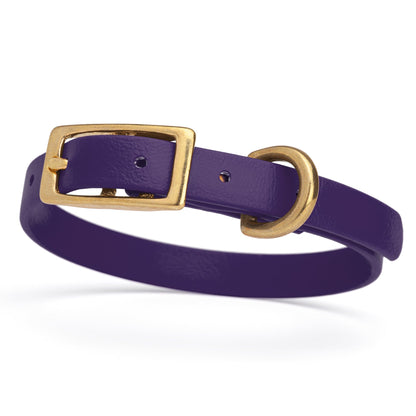 Waterproof Dog Collar with Brass Hardware