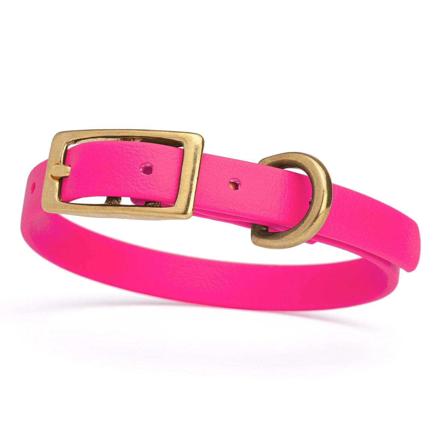 Waterproof Dog Collar with Brass Hardware