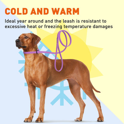 Biothane Slip Lead for Dogs, 5 ft and 7 ft