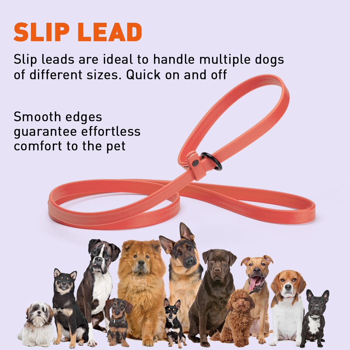 Biothane Slip Lead for Dogs, 5 ft and 7 ft